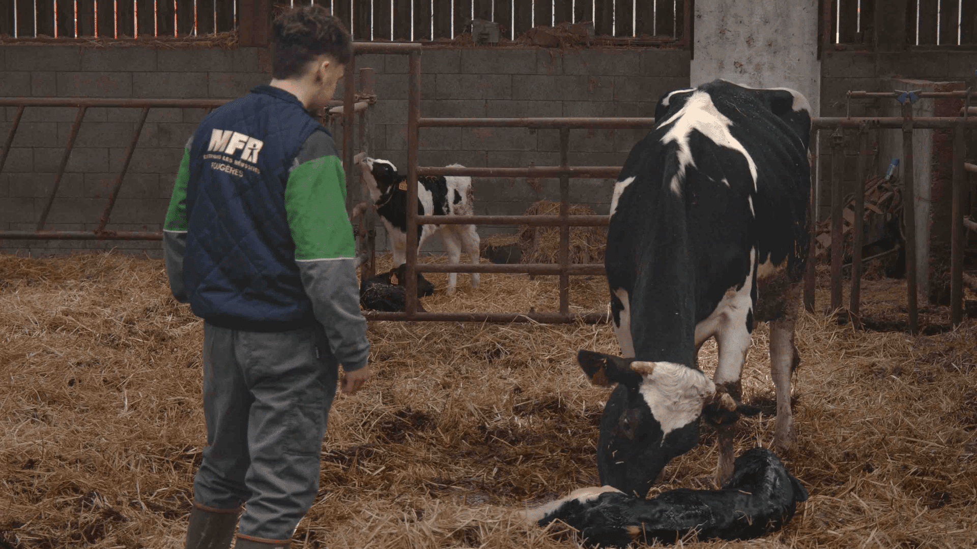 alternance-stage-apprentissage-MFR-Fougères